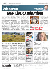 Síða 2