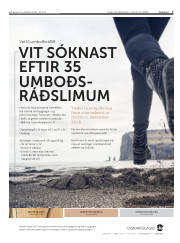 Síða 7