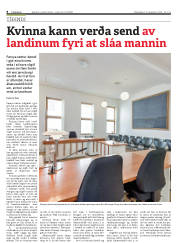 Síða 8