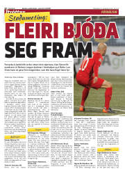 Síða 22