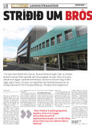 Síða 18