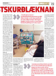 Síða 19