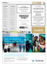 Síða 21