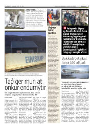 Síða 3