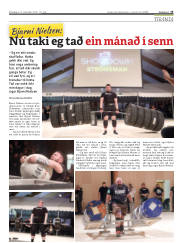 Síða 15