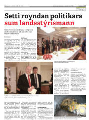 Síða 11