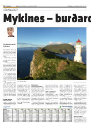 Síða 38