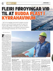 Síða 6