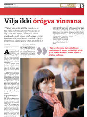 Síða 13