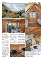 Síða 21