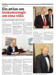 Síða 8