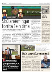Síða 10