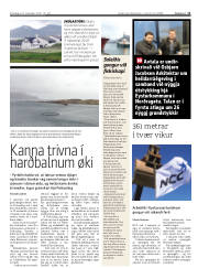 Síða 11