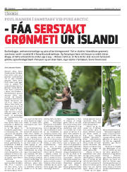 Síða 12