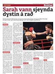 Síða 17