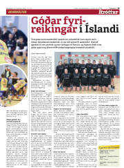 Síða 19