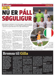 Síða 22