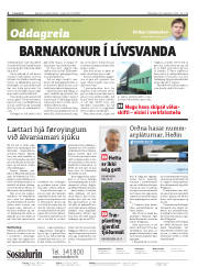 Síða 2