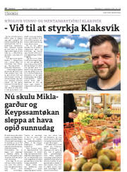 Síða 20