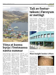 Síða 21