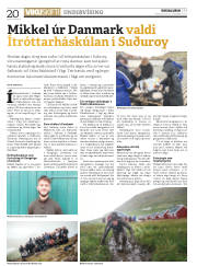Síða 20