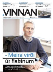 Síða 29