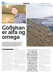 Síða 32