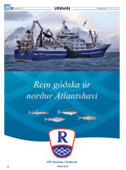 Síða 48