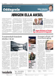 Síða 2