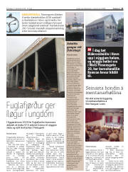 Síða 11