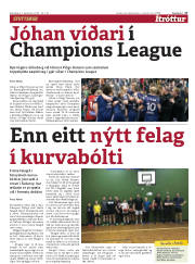 Síða 17