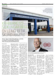 Síða 10