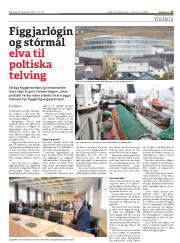 Síða 15