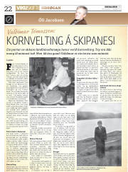 Síða 22