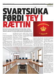 Síða 3
