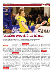 Síða 17