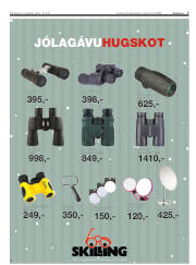 Síða 7