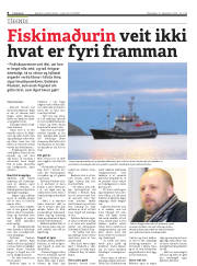 Síða 8