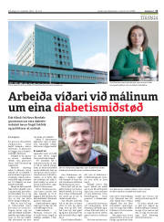 Síða 11