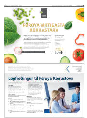 Síða 15