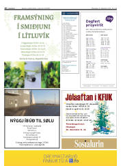 Síða 16