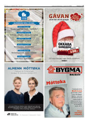 Síða 17
