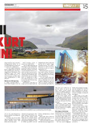 Síða 15