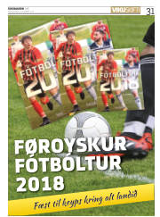 Síða 31