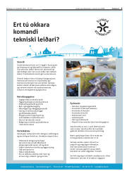 Síða 5