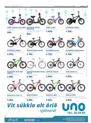 Síða 9