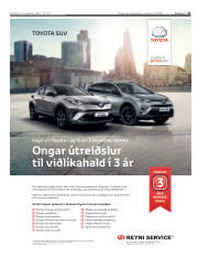 Síða 13
