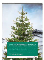 Síða 15