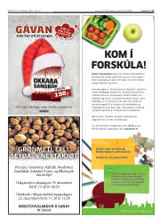 Síða 17