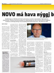 Síða 20